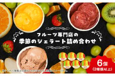 ＜6個入り＞贈答用フルーツで作った季節のジェラート詰め合わせ【1524163】