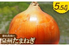 《約5.5kg》藤原農園の泉州たまねぎ　なにわの伝統野菜　サイズ混合【1635902】