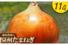 《約11kg》藤原農園の泉州たまねぎ　なにわの伝統野菜　サイズ混合【1635905】
