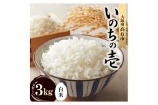 ＜令和7年度産＞いのちの壱3kg(白米)　希少品種をお届けします。【1641925】