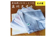 グリーンクラブ泉州透かし織トワイライトボーダータオル 計10枚【1663421】