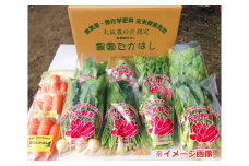 No.024 こだわり農家の採れたて無農薬野菜セット ／ 季節野菜 やさい 安全 大阪府 特産品