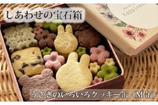 No.159 しあわせの宝石箱　うさぎのいろいろクッキー缶（M缶） ／ 手作り 焼き菓子 スイーツ 大阪府