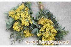 No.180 毎年人気！春を運んでくるユーカリとミモザのスワッグ ／ 花 飾り 大阪府
