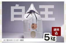 No.210 桝田米穀のお米　白王（HAKUO）5kg ／ オリジナル米 白米 おこめ 大阪府 特産品