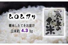 No.238 新米「ヒノヒカリ」玄米5kg（精米してお届け　白米約4.3kg） ／ お米 1等米 ひのひかり 甘み 大阪府