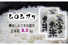 No.239 新米「ヒノヒカリ」玄米10kg（精米してお届け　白米約8.5kg） ／ お米 1等米 ひのひかり 甘み 大阪府