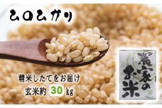 No.240 新米「ヒノヒカリ」玄米30kg（玄米のままお届けします） ／ お米 1等米 ひのひかり 甘み 大阪府