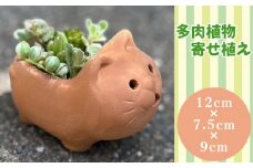 No.273 埴輪寄せ植え ／ 多肉植物 テラコッタ 埴輪イメージ 園芸 ガーデニング 大阪府