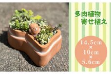No.275 前方後円墳の多肉植物寄せ植え ／ 多肉植物 テラコッタ 埴輪 園芸 ガーデニング 大阪府