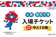 No.293 【前売限定】2025年日本国際博覧会入場チケット 一日券（中人）【藤井寺市返礼品】 ／ 万博 EXPO 2025 大阪万博 関西万博 夢洲 入場券 大阪府