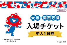 No.294 2025年日本国際博覧会入場チケット 一日券（中人）【藤井寺市返礼品】 ／ 万博 EXPO 2025 大阪万博 関西万博 夢洲 入場券 1日券 大阪府