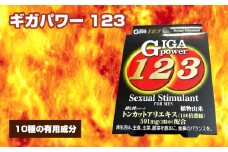 No.309 ギガパワー 123 ／ サプリメント サプリ 大阪府