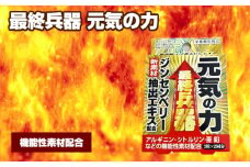 No.312 最終兵器 元気の力 ／ サプリメント サプリ 大阪府
