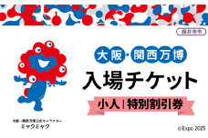 No.370 2025年日本国際博覧会入場チケット 特別割引券（小人）【藤井寺市返礼品】 ／ 万博 EXPO 2025 大阪万博 関西万博 夢洲 入場券 大阪府
