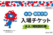 No.378 2025年日本国際博覧会入場チケット 特別割引券（大人）【藤井寺市返礼品】 ／ 万博 EXPO 2025 大阪万博 関西万博 夢洲 入場券 大阪府