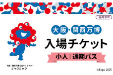 No.381 2025年日本国際博覧会入場チケット 通期パス（小人）【藤井寺市返礼品】 ／ 万博 EXPO 2025 大阪万博 関西万博 夢洲 入場券 大阪府