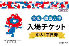 No.376 2025年日本国際博覧会入場チケット 平日券（中人）【藤井寺市返礼品】 ／ 万博 EXPO 2025 大阪万博 関西万博 夢洲 入場券 大阪府