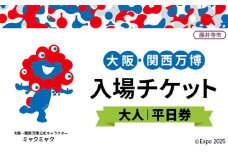 No.380 2025年日本国際博覧会入場チケット 平日券（大人）【藤井寺市返礼品】 ／ 万博 EXPO 2025 大阪万博 関西万博 夢洲 入場券 大阪府