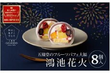 ★多数のメディアで紹介されました★ 五條堂（GOJODO）の鴻池花火8個入 フルーツパフェ大福 フルーツ大福 冷凍大福 ふるーつ大福  だいふく