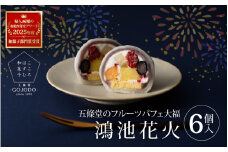 ★多数のメディアで紹介されました★ 五條堂（GOJODO）の鴻池花火6個入 フルーツパフェ大福 フルーツ大福 冷凍大福 ふるーつ大福  だいふく
