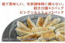 自家製豚骨スープ入り塩で食べる無添加ぎょうざ20個入×2PC
