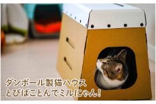 ダンボール製猫ハウスとびばことんでミルにゃん！ - 段ボール製の今までなかった猫ハウス！