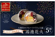 ★多数のメディアで紹介されました★ 五條堂（GOJODO）の鴻池花火5個入 【ふるさと納税限定】 フルーツパフェ大福 フルーツ大福 冷凍大福 ふるーつ大福  だいふく