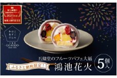 ★多数のメディアで紹介されました★ 五條堂（GOJODO）の鴻池花火5個入 【ふるさと納税限定】 フルーツパフェ大福 フルーツ大福 冷凍大福 ふるーつ大福  だいふく