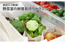 食品ロス軽減！野菜室の鮮度長持ちセラミック