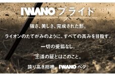 IWANOペグ16本セット《抜かない限り抜けません》テントを張るならIWANOペグ