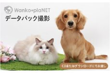 【ペット撮影】わんこ＊ぷらネットデータパック撮影