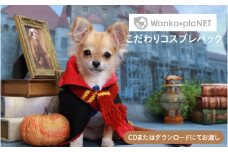 【ペット撮影】わんこ＊ぷらネットこだわりコスプレパック