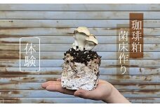 珈琲粕菌床作り体験