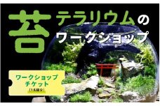 苔テラリウムのワークショップチケット(1名様分)