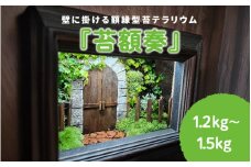 壁に掛ける額縁型苔テラリウム『苔額奏』