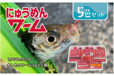 にゅうめんワーム　5色セット