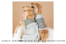 愛犬とリンクコーデ　ストライプ刺繍ギャザーワンピース×大人スカート（ストライプ×ストライプ）- 愛犬とお揃いの装いを楽しもう