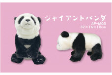 ＼大阪・関西万博2025出展／ともだちになれるぬいぐるみ！【ANI-PAL アニ・パル】（ジャイアントパンダ）