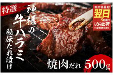 【 スピード発送 】特選神様の牛ハラミ 秘伝たれ漬け 500g（焼肉だれ1p）