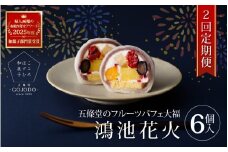 ★多数のメディアで紹介されました★ 【定期便・2か月連続】五條堂のフルーツパフェ大福「鴻池花火」(6個入り)