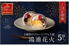 ★多数のメディアで紹介されました★ 【定期便・2か月に１回発送(全2回) 】五條堂のフルーツパフェ大福「鴻池花火」(5個入り)