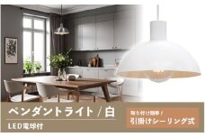 ペンダントライト（白） SP -126 - ＋SP -126 -03 - /LDF45D(Ball95) 付