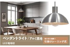 ペンダントライト（アルミ素地） SP -126 - ＋SP -126 -03 - /LDF45D(Ball95) 付