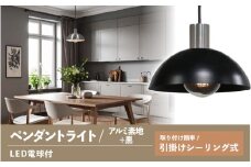 ペンダントライト（アルミ素地＋黒） SP -126 - ＋SP -126 -03 - /LDF45D(Ball95) 付