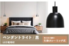 ペンダントライト（黒） SP -126 -　＋SP -126 -04 - /LDF45D(Ball95) 付