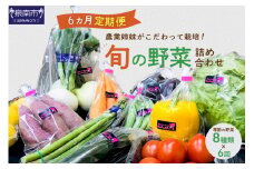 農業姉妹がこだわって栽培！旬の厳選野菜8種 半年定期便【024B-007】