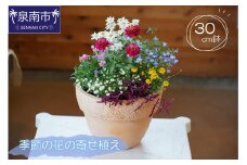 季節の花の寄せ植え 30㎝【005D-007】