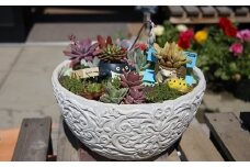 多肉植物の寄せ植え 30cm鉢【005D-008】
