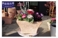 季節の花の寄せ植え 35cm ピック付き【005C-007】